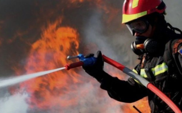 Πυρκαγιά σε δασική έκταση στα Λευκόγεια Δράμας