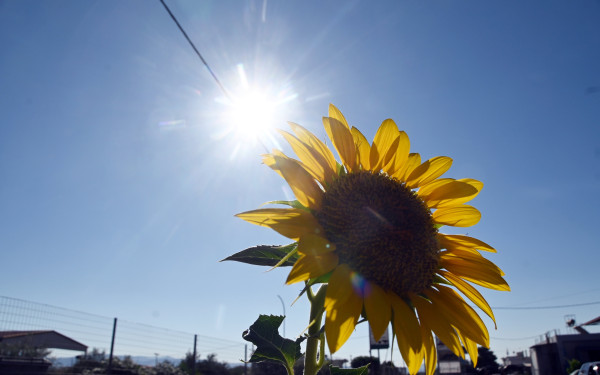 Αργεντινή: Μπλακ άουτ στο Μπουένος Άιρες λόγω του καύσωνα
