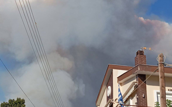 Βελτιωμένη η εικόνα της πυρκαγιάς στην Άσσηρο - Ισχυρές δυνάμεις της πυροσβεστικής παραμένουν στο σημείο