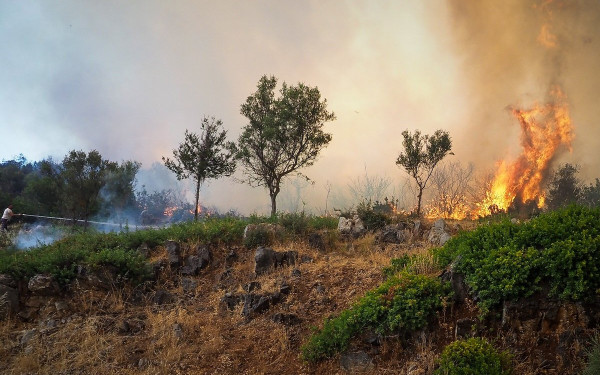 Εύβοια: Φωτιά σε δασική έκταση στο Μηλάκι
