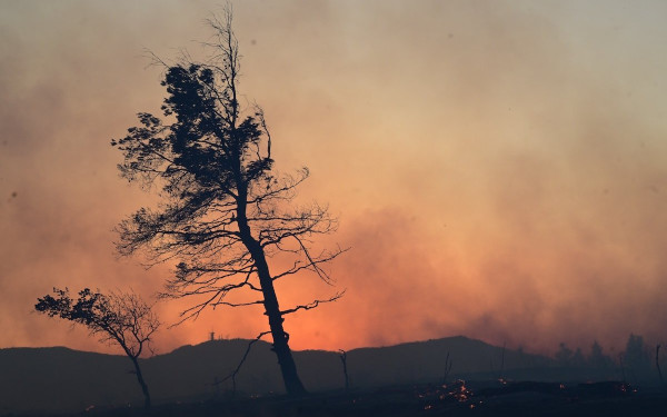 Μελτέμια και καύσωνας φέρνουν «κόκκινο συναγερμό» για φωτιές - Στο επίκεντρο Αττική, Βοιωτία και Εύβοια
