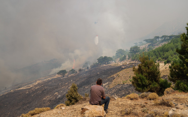 Αποκαρδιωτικές εικόνες στην Χίο: Drone καταγράφει την καταστροφική πορεία της πυρκαγιάς (βίντεο)