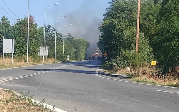 Κοζάνη: Φωτιά τέθηκε υπό έλεγχο στο άλσος Κουρί