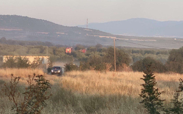 Θεσσαλονίκη: Σε εξέλιξη η μάχη με τη φωτιά στη λίμνη Βόλβη μετά την αναζωπύρωση στο Βαγιοχώρι (βίντεο)