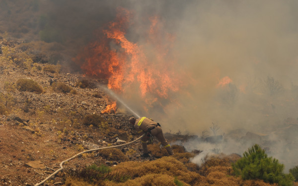 Καμπανάκι Λαγουβάρδου για τις πυρκαγιές: Ήδη 454.000 καμένα στρέμματα στην Ελλάδα από την αρχή του 2025 - 9.000.000 στην Ευρώπη
