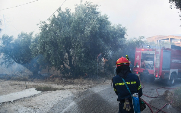 «Καμπανάκι» από την Πυροσβεστική: «Όσα αεροπλάνα και να έχουμε, η αμέλεια δεν νικιέται» - 133 συλλήψεις για φωτιές (βίντεο)