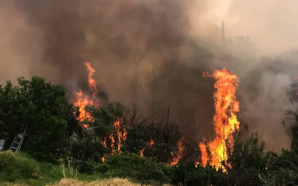 Χαλκιδική: Απαγόρευση κυκλοφορίας την Τετάρτη λόγω υψηλού κινδύνου εκδήλωσης δασικής πυρκαγιάς