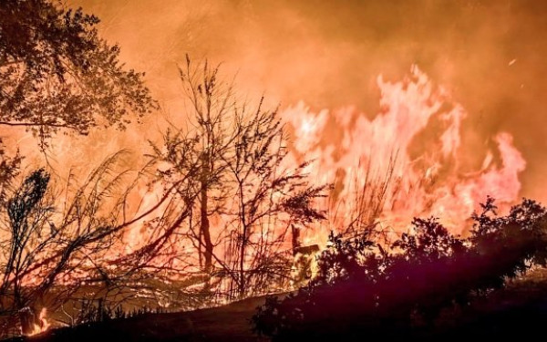 Μαύρο ρεκόρ: Περισσότερα από 10 εκατομμύρια στρέμματα κάηκαν στην Ευρωπαϊκή Ένωση το 2025
