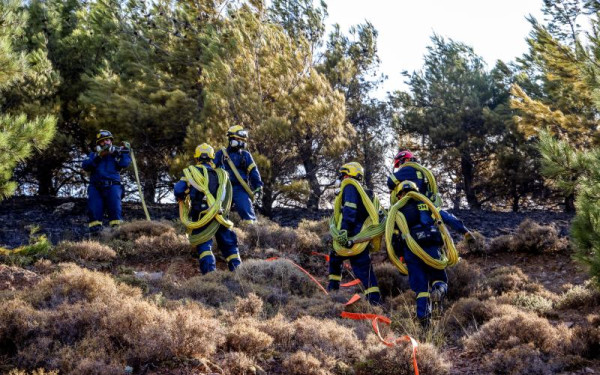 Πυρκαγιές: 5.000 πυροσβέστες και εθελοντές σε τιτάνια μάχη με τις φλόγες - «Είναι το πιο δύσκολο 24ωρο της αντιπυρικής περιόδου»