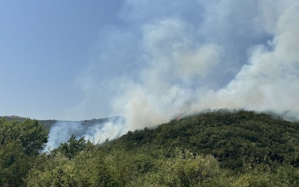 Πέλλα: Φωτιά ξέσπασε σε χορτολιβαδική έκταση στο Μαυροβούνι της Σκύδρας