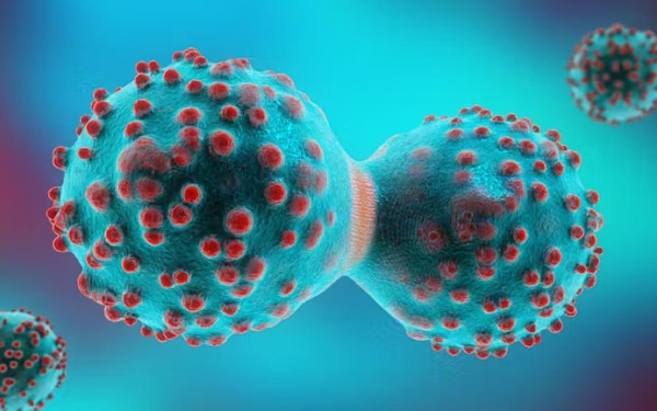 Υγεία: Διεθνής έρευνα με ελληνική συμμετοχή προτείνει καινοτόμο θεραπεία των αιματολογικών καρκίνων