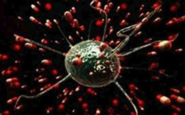 Υγεία: Στοματικά μικρόβια συνδέονται με αυξημένο κίνδυνο καρκίνου του παγκρέατος