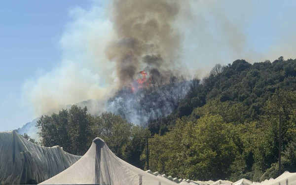 Καβάλα: Ξέσπασε φωτιά σε δασική έκταση στο Μυρτόφυτο στο Παγγαίο