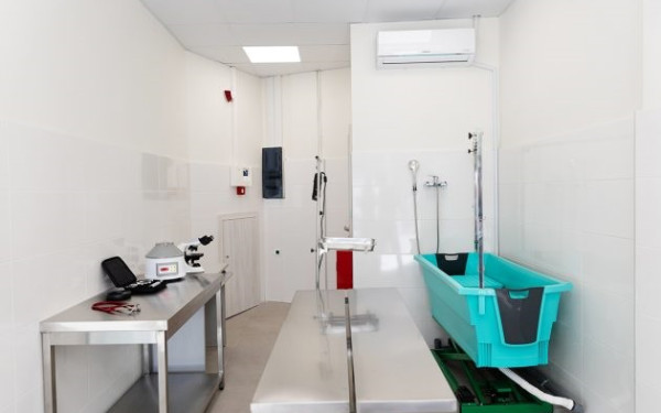 Δήμος Θεσσαλονίκης: «Καταφύγιο» για τα αδέσποτα  το Δημοτικό Κτηνιατρείο