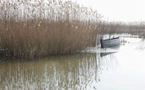 Κιλκίς: SOS εκπέμπει η λίμνη Δοϊράνη - «Στέγνωσε» από την παρατεταμένη ανομβρία (βίντεο)