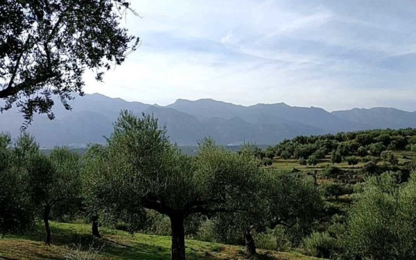 Θεσσαλονίκη: Ένα έξυπνο ρομπότ «γεννιέται» στη Σίνδο από τρεις νέους επιστήμονες για να βοηθήσει αγρότες