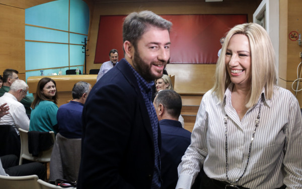 Νίκος Ανδρουλάκης για τα 4 χρόνια από τον θάνατο της Φ. Γεννηματά: Συνεχίζουμε στον δρόμο ενότητας και αυτονομίας που χάραξε