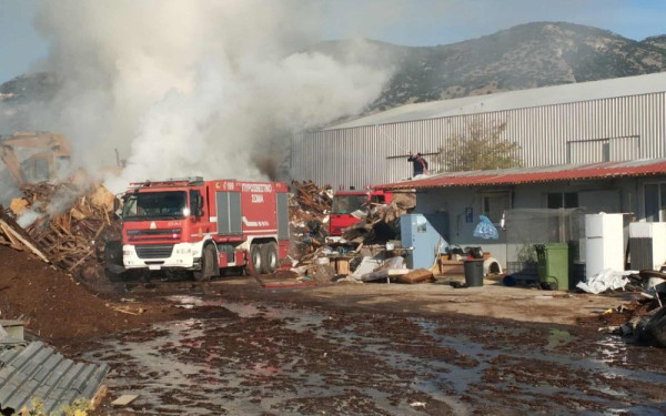 Σέρρες: Οριοθετήθηκε η φωτιά σε εργοστάσιο πέλλετ στο Νέο Σούλι - Ισχυρές πυροσβεστικές δυνάμεις στο σημείο