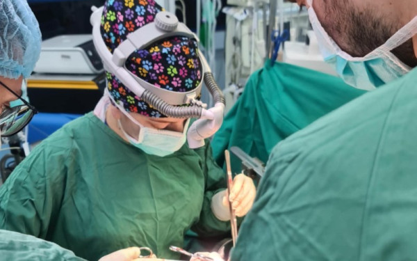 Ιστορική πρώτη στην Ελλάδα: Γυναίκα χειρουργός πραγματοποίησε μεταμόσχευση ήπατος - Επιτυχία για το ΑΠΘ