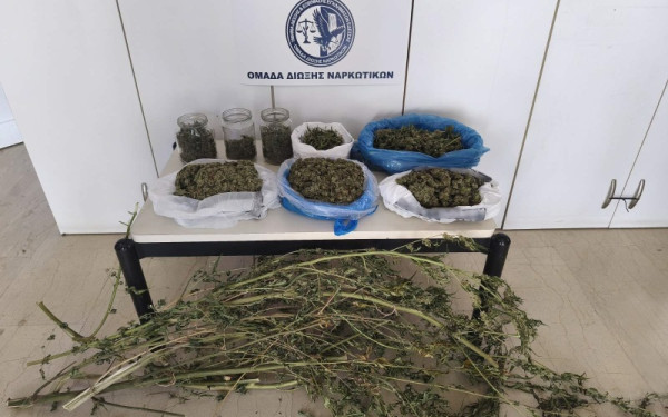 Πέλλα: Χειροπέδες σε δύο άτομα για μεγάλη ποσότητα κάνναβης και καλλιέργεια δενδρυλλίων
