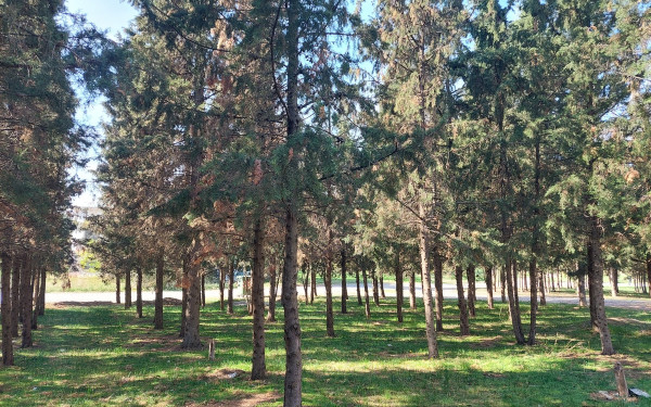 Ματαίωση άσκησης προσομοίωσης πυρκαγιάς στο Κόδρα