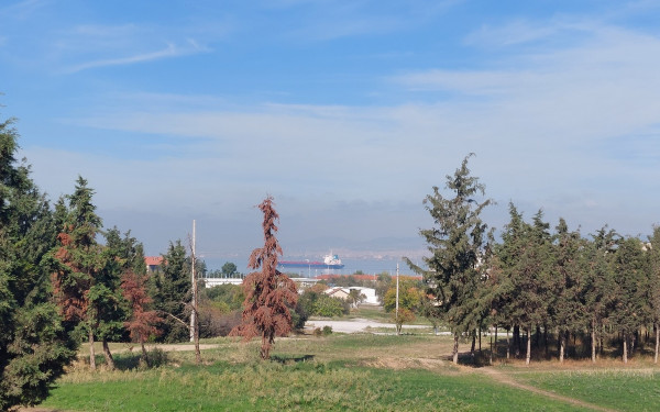 Καλαμαριά: Τα 3 βήματα για την αξιοποίηση του Κόδρα - Ούτε ένα νέο τούβλο δεν θα μπει, ξεκαθαρίζει η Χρύσα Αράπογλου