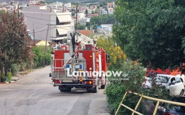 Λαμία: Φωτιά σε μονοκατοικία με ένα νεκρό