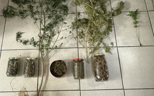 Πιερία: Σύλληψη για καλλιέργεια... κάνναβης
