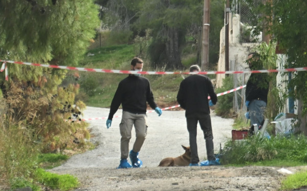Η ΕΛ.ΑΣ εξιχνίασε την ανθρωποκτονία στην Σαλαμίνα - Κρατούμενη η 46χρονη νύφη