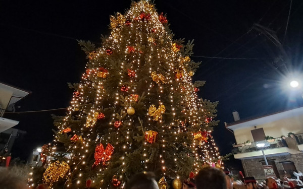 Ταξιάρχης Χαλκιδικής: Φωταγωγήθηκε το πρώτο χριστουγεννιάτικο δέντρο στην Ελλάδα!