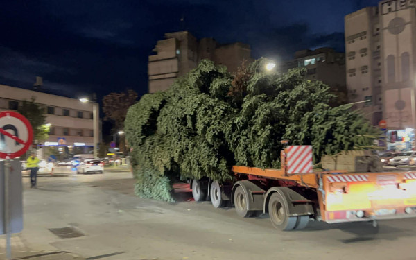 Θεσσαλονίκη: Με συνοδεία περιπολικών έφτασε το Χριστουγεννιάτικο δέντρο στην Πλατεία Αριστοτέλους (βίντεο)