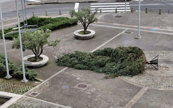 Θεσσαλονίκη: «Θύμα» των ισχυρών ανέμων το χριστουγεννιάτικο δέντρο στο δημαρχείο - Για λόγους ασφαλείας κατέβηκε