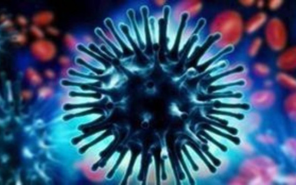 Γαλλία -Ινστιτούτο Παστέρ: Ο ιός της γρίπης των πτηνών θα μπορούσε να προκαλέσει πανδημία χειρότερη της COVID εφόσον μεταλλαχθεί