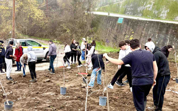 Ξάνθη: Μαθητές έρχονται πιο κοντά στην φύση δημιουργώντας τον δικό τους οπωρώνα