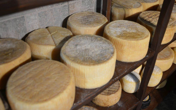 Το καλύτερο τυρί του κόσμου για το 2025 είναι ελληνικό - Η γραβιέρα Νάξου στην κορυφή