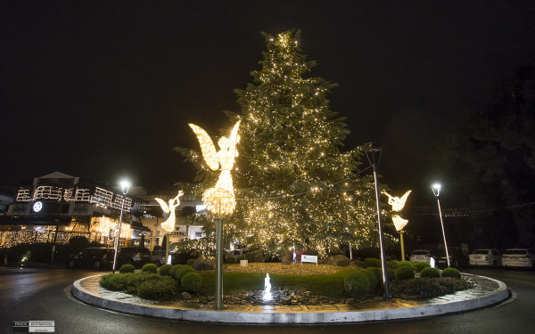 Θεσσαλονίκη: Φωταγωγήθηκε το χριστουγεννιάτικο δέντρο στον δήμο Πυλαίας - Χορτιάτη