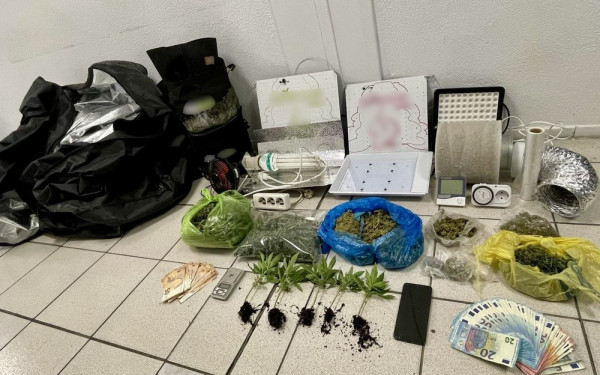 Πιερία: Συνελήφθησαν 2 άτομα για ναρκωτικά  - Κατασχέθηκαν δενδρύλλια και ποσότητες ακατέργαστης κάνναβης