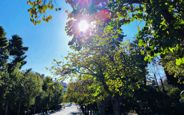 Καιρός: Ανάσταση με συννεφιά - Σούβλισμα οβελία με λιακάδα