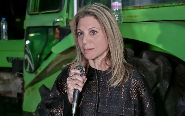 Η Καρυστιανού, η Κεντροαριστερά και η πράσινη βελόνα. Του Νίκου Οικονόμου