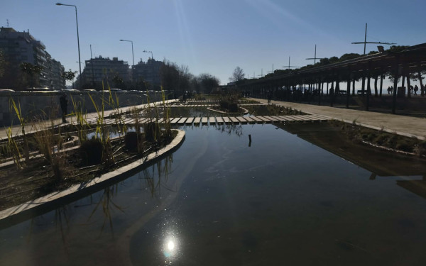 Θεσσαλονίκη: Επέστρεψε με άρωμα... Ιαπωνίας ο Κήπος του Νερού - Διαθέτει υδρόβια φυτά και ψάρια
