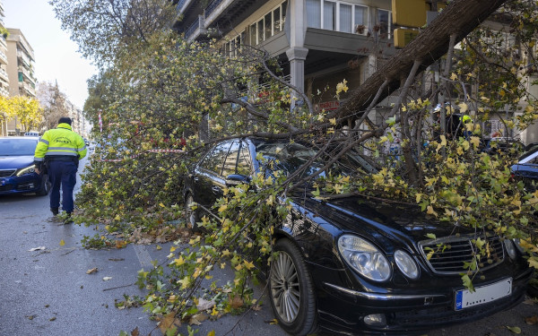 Κακοκαιρία στην Κεντρική Μακεδονία: 178 κλήσεις στην Πυροσβεστική - 29 πολίτες απεγκλωβίστηκαν