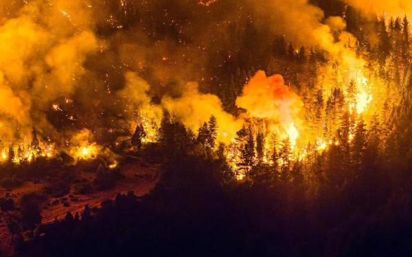 Πυρκαγιές στην Παταγονία: Η Αργεντινή κηρύσσει κατάσταση έκτακτης ανάγκης - «Στάχτη» περίπου 450.000 στρέμματα δασικών εκτάσεων