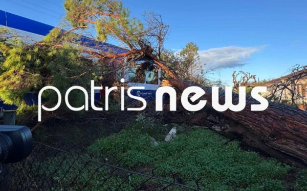 Τι λέει η Hellenic Train για την πτώση δέντρου πάνω σε αμαξοστοιχία στον Πύργο