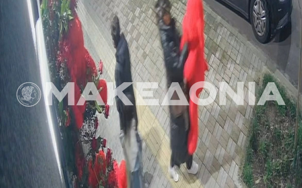 Θεσσαλονίκη: Λούτρινα αρκουδάκια εξαφανίστηκαν μυστηριωδώς πριν από... τον Άγιο Βαλεντίνο (βίντεο)