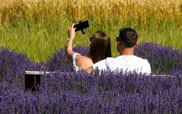 Έρωτας στην Ψηφιακή Εποχή: Πώς οι αλγόριθμοι επηρεάζουν την επιθυμία και τη σύνδεση