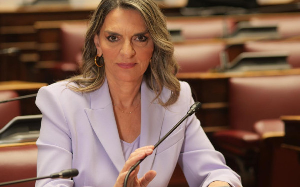 Το πόθεν έσχες της Πέτης Πέρκα