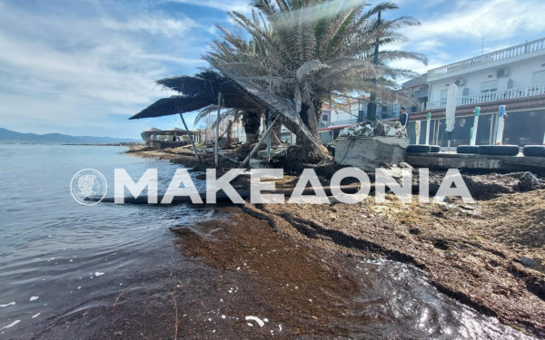 Δήμος Θερμαϊκού: «Mάχη» με τη λάσπη μετά την πλημμυρίδα - Μετρούν τις «πληγές» τους κάτοικοι και επαγγελματίες (βίντεο)