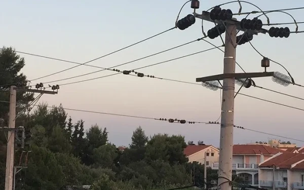 Περαία: Μετά την οργή δήμου και πολιτών ο ΔΕΔΔΗΕ πατά «γκάζι» στα έργα αναβάθμισης του δικτύου ηλεκτροδότησης