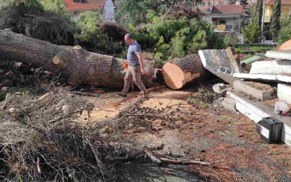 Δήμος Θέρμης: Αποκατάσταση ζημιών στον προαύλιο χώρο του Ιερού Ναού Αγίου Αθανασίου Τριλόφου έπειτα από πτώση δένδρου