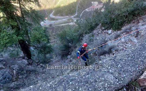 Ευρυτανία: Νεκρός 54χρονος σε τροχαίο - Το φορτηγό του έπεσε σε γκρεμό 40 μέτρων